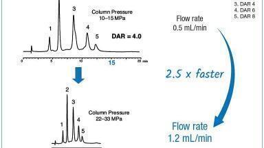 High throughput DAR determination of brentuximab vedotin